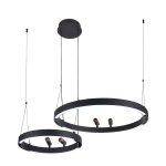 Подвесная люстра Favourite 4474-2P Slinga