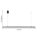 Подвесная люстра Favourite 4486-1P Diskret