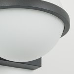 Настенный светильник Favourite 4502-1W Ringar