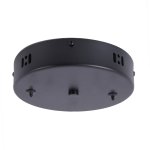 Потолочная чаша Favourite 4591-180-2BL Canopy