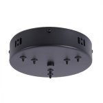 Потолочная чаша Favourite 4591-180-6BL Canopy