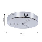 Потолочная чаша Favourite 4591-220-9CH