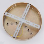 Потолочная чаша Favourite 4591-220-9GD Canopy