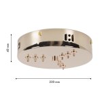 Потолочная чаша Favourite 4591-220-9GD Canopy