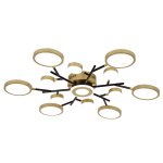 потолочный светильник Favourite 4686-13C Hybrid