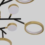 потолочный светильник Favourite 4686-13C Hybrid