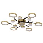 потолочный светильник Favourite 4686-13C Hybrid