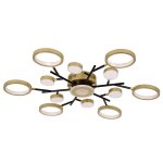 потолочный светильник Favourite 4686-13C Hybrid