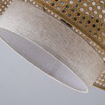 подвесная люстра Favourite 4768-3P Organicum