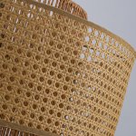 подвес Favourite 4769-1P Organicum