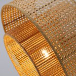 подвес Favourite 4769-1P Organicum