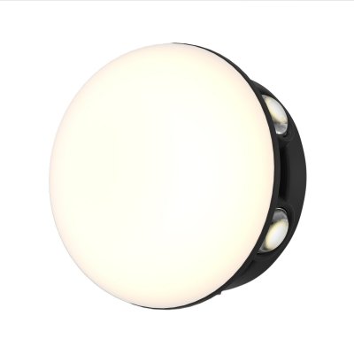 уличный настенный светильник Favourite 4853-1W Option