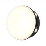 уличный настенный светильник Favourite 4853-1W Option