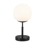 настольная лампа Favourite 4887-1T Atomic