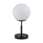 настольная лампа Favourite 4887-1T Atomic