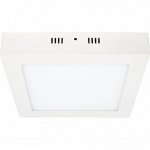 Светильник свеодиодный LED Feron 27924 NAC LED