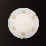 Потолочный светильник Ideal Lux FOGLIA PL2 D40