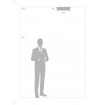 Потолочный светильник Freya FR10011CL-L24W 