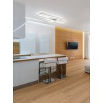 Потолочный светильник Freya FR10021CL-L66W Majari