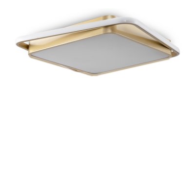 Потолочный светильник Freya FR10026CL-L93G Yaku