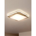 Потолочный светильник Freya FR10026CL-L93G Yaku