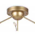 Потолочный светильник Freya FR5049CL-36G Florencia