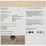 Светильник Freya FR6023CL-L45B 