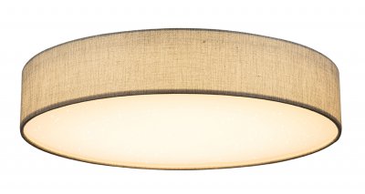 Светильник потолочный Globo Paco 15185D5