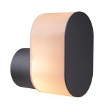 Светильник Globo 32101A