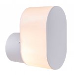 Светильник Globo 32101W