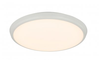 Светильник потолочный Globo Aemon 32109