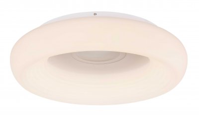 Светильник Globo 41296-50R