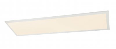 Светильник потолочный Globo Rosi 41604D5F