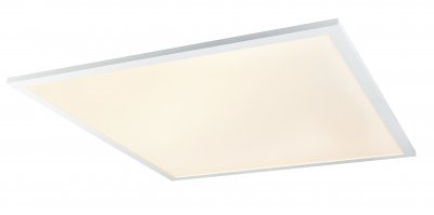 Светильник потолочный Globo Rosi 41604D6F