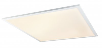 Светильник потолочный Globo Rosi 41604D6