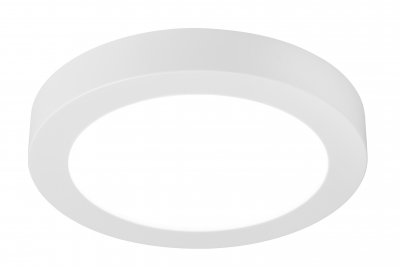 Светильник потолочный Globo Paula 41605-24D