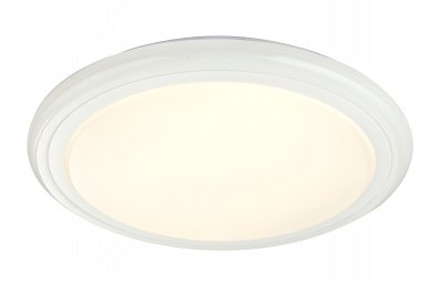 Светильник потолочный Globo Rudi 48378-40RGB