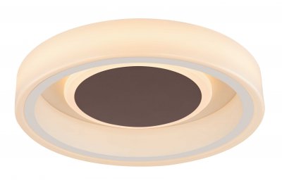 Светильник Globo 48398-24