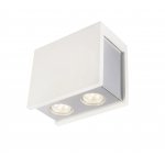 Светильник потолочный Globo Christine 55010-2D