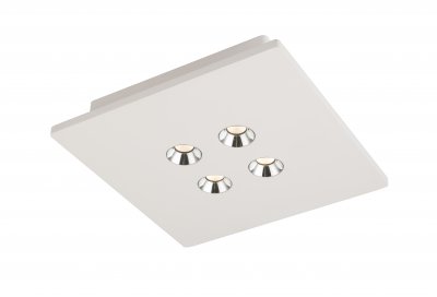 Светильник потолочный Globo Christine 55010-4D