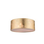 Светильник потолочный Globo 15187d AMY