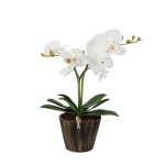 Светильник Globo 28002