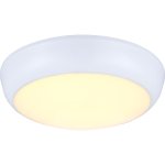 Светильник Globo 32116