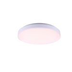 Светильник Globo 41803