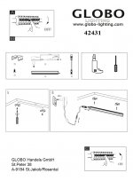 Светильник Globo 42431