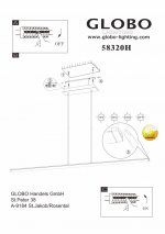 Светильник Globo 58320H