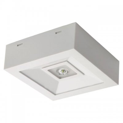Аварийный светильник Kanlux 18641 TRIC POWERLED NT