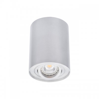 Точечный накладной светильник Kanlux BORD DLP-50-AL (22550) Точечный накладной светильник Kanlux BORD DLP-50-AL (22550)