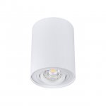 Точечный накладной светильник Kanlux BORD DLP-50-W (22551)