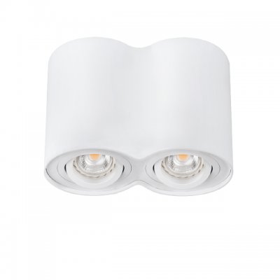 Точечный накладной светильник Kanlux BORD DLP-250-W (22554) Точечный накладной светильник Kanlux BORD DLP-250-W (22554)